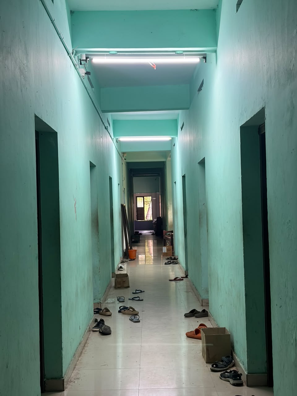 Gallery image 11
