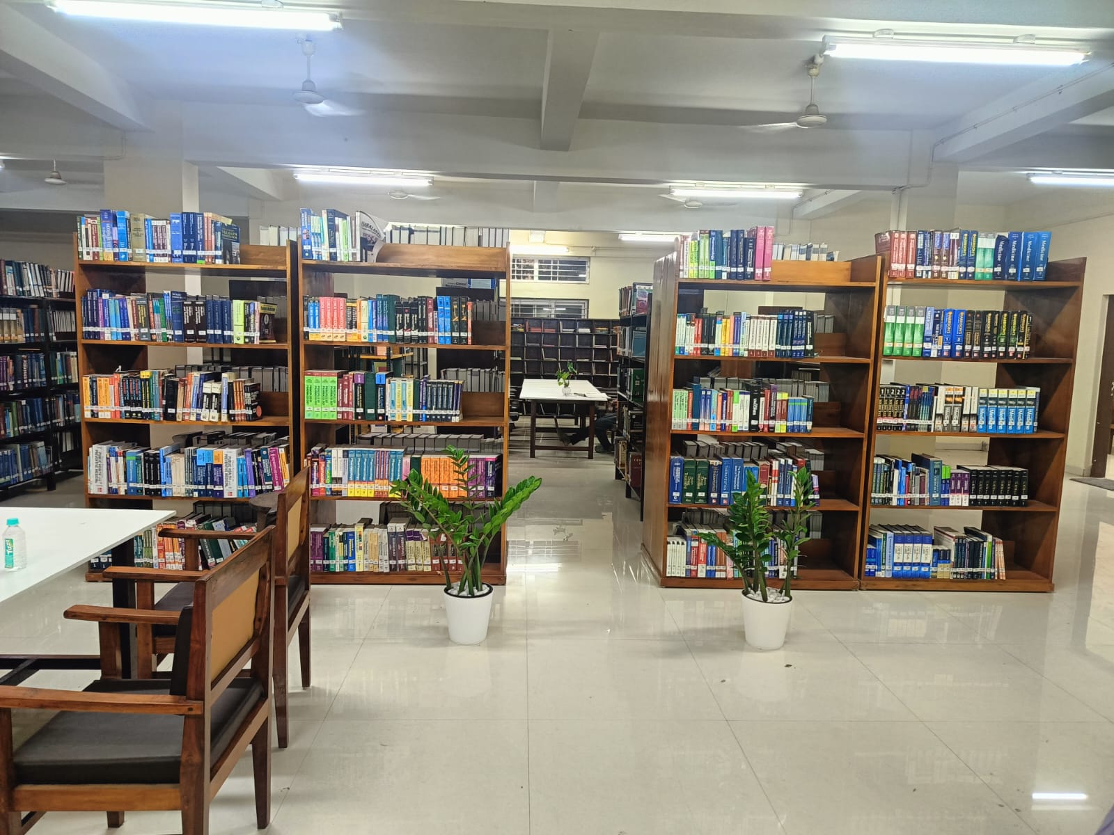 Library view 4
