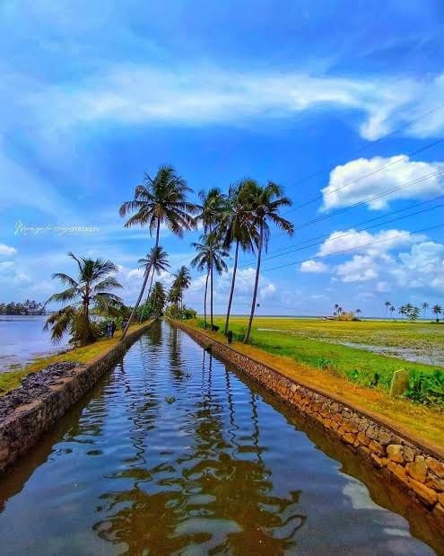Kuttanad 1