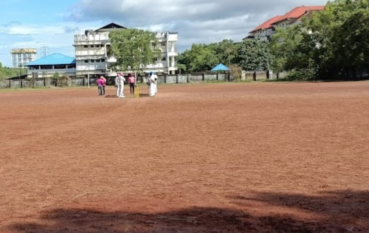 Cricket view