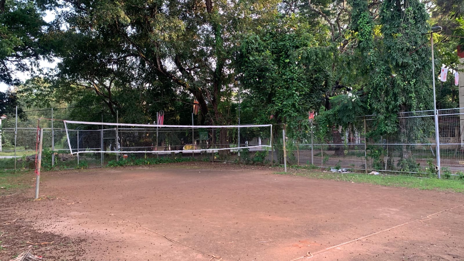 Volleyball view